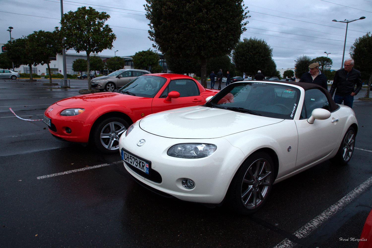 Mazda MX5-01.jpg